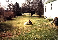 Ben Dorrough; Holly dog; Medway Ohio